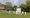 Hamilton hits century for Rye