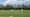 Rye cricketers win opener