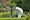 Queen visits Rye garden