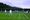 Grass season starts at Rye LTC