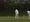 Rye CC ready for the new season