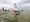 Dinghies defy the weather