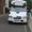Naughty cow takes the cornet