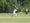 Cricket Club's decisive victory