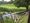Lucky escape from canal crash