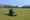 Rye CC ready for the season