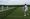 Grass courts open, so it rained