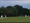 Rye's cricketers bowled over