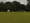 Double delight for Rye cricket