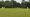 1st XI falter in promotion chase