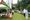 The season of garden parties