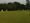 Nel hits century for Rye