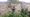Winchelsea open gardens
