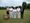 Rye Bowls Club holds tournament