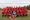 Town wins first outing