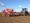 Down on the farm