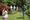 Open garden at Hartshorn House