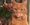 Only eight lives left for Bertie