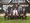 Cricket Club defeats MCC
