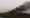 Fire destroys Camber farmhouse