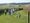 Pilgrimage to Chapel Bank