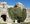 Conservation group visits Pevensey