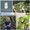 Orchid Masterclass at Fairlight Hall