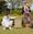 Humble Boy by the Fairlight Players