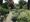 Open garden supports families