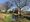 Tillingham Wines, recruiting now