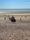 Beach launch after rescue call