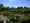 The state of woods and trees