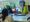 Local vaccination news
