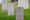 War graves, can you help?