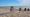 News in brief July 26