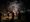 Wassailing