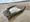 Wooden wreck revealed