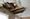 Camber landlord fined £20,000