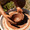 Hands of Hope Charity Workshops - MAKE BAKE & GROW