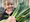 Hands of Hope Charity Workshops - GROWING AND COOKING FOR SELF SUFFICIENCY