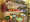 Hands of Hope Charity Workshops - BUILDING A PANTRY