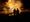 Spring Bonfire Society diary dates