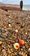 Shipping container contents litter beaches
