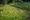 Meadow Gardening Study Day