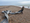 Strandliners/Marine Conservation Society (MCS) - Beach Clean