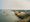 Forty years on the water