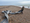 Strandliners Beach Survey