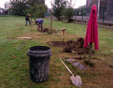 201409GardenCrop1