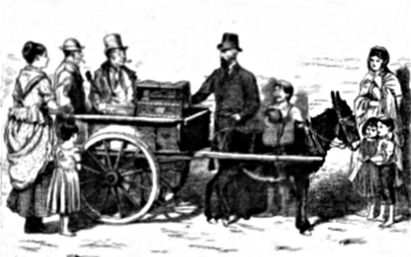1505organgrinder