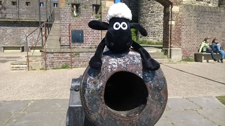 Shaun the Sheep getting ready to fire a cannon at the Gun Garden